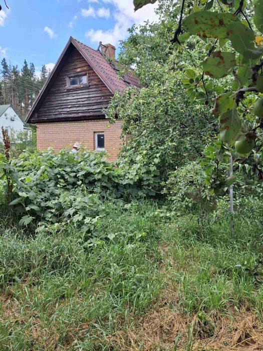 Продам землю 6 сот., В. Солтанівка