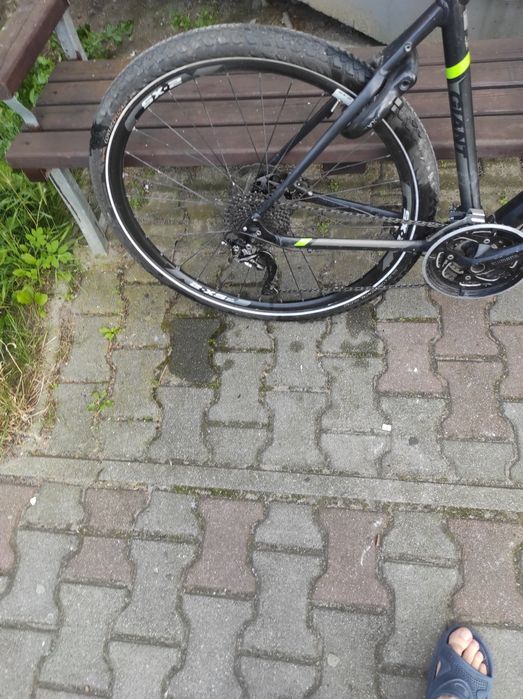 Rower trekkingowy Giant