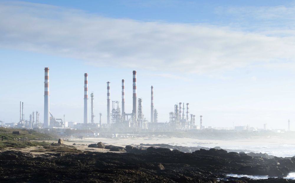 Fotógrafo Matosinhos (serviço gratuito exceto despesas de deslocação)