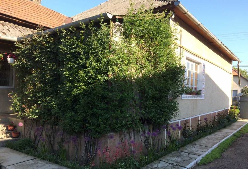 Будинок 4 кімнати біля термальних екокурортів