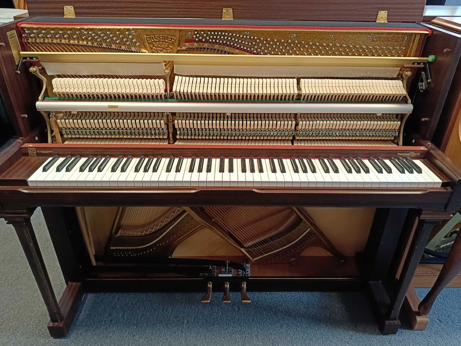 Majestatyczne Pianino Seiler