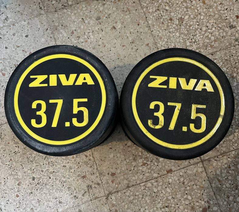 Halteres Ziva 37,5kg