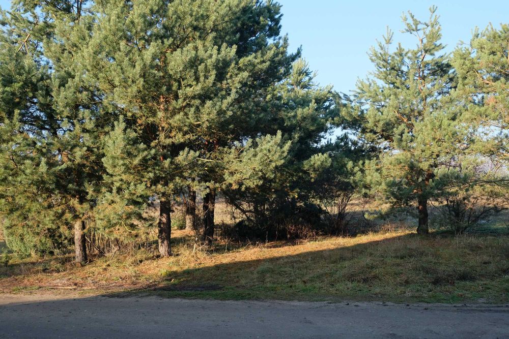 Fujinon XF 10-24 F4 R OIS