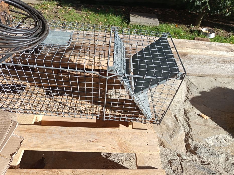 Transporter dla zwierząt