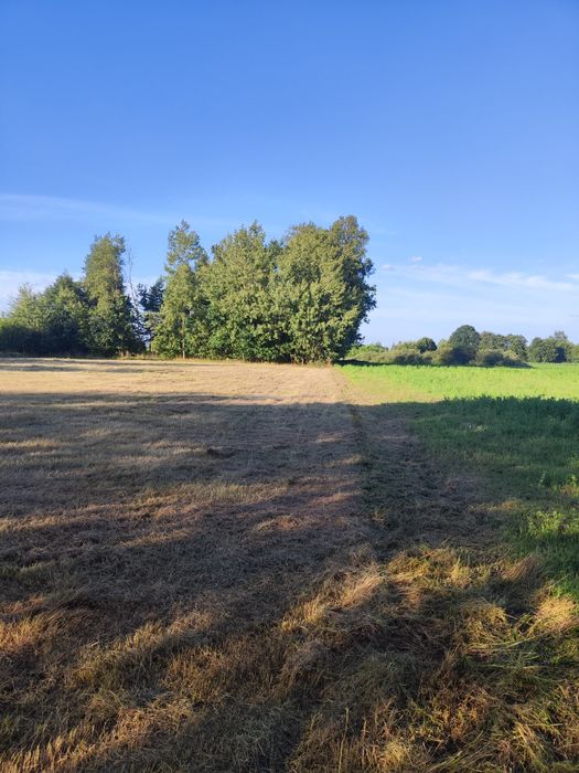 Działka z warunkami zabudowy 38 ary