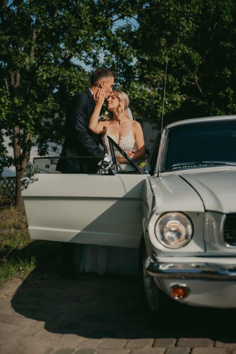 Samochód do ślubu Mustang 1966 Trójmiasto Pomorskie Auto Ślub Klasyk