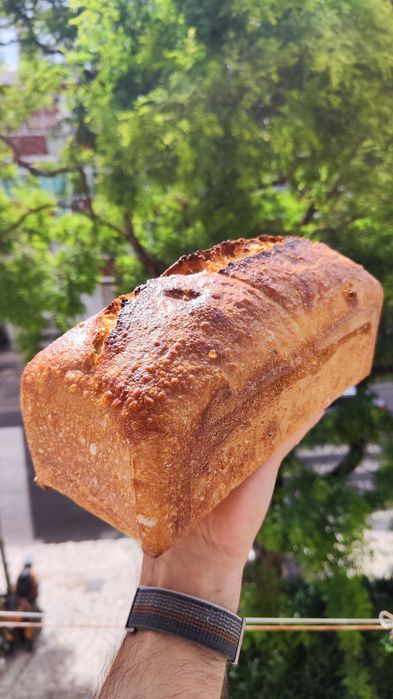 Venda/Troca BIO Pão Artesanal Massa Mãe