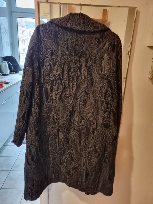 Karakuły piękne, w ogóle nienoszone