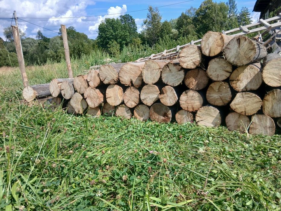 Drzewo    70zł/m3