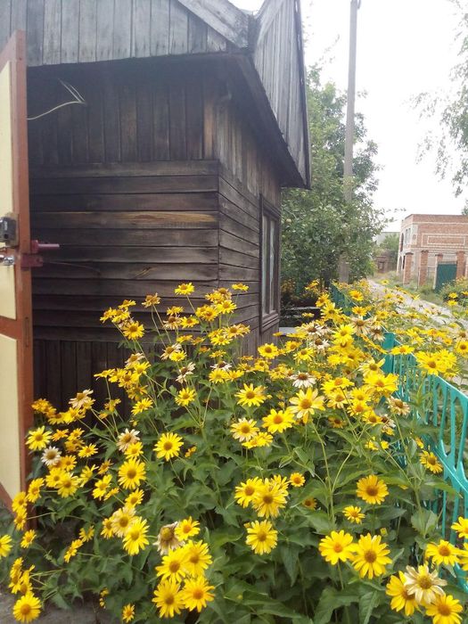 Дача Комунальник 10 соток