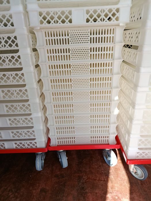 Plastic Trays454611962210570243