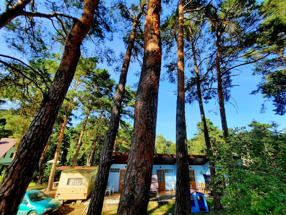 Wynajem domków2026 Wczasy Brenno DELFINEK