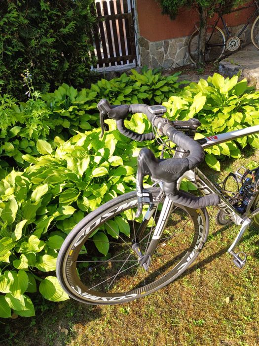 Rower szosowy Focus Izalco 54