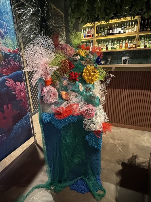 Фото зона коралловый риф