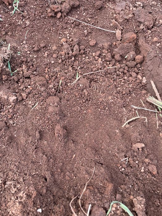 Vende se Terra vegetal preta