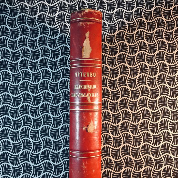 Elucidario das Palavras -  Viterbo