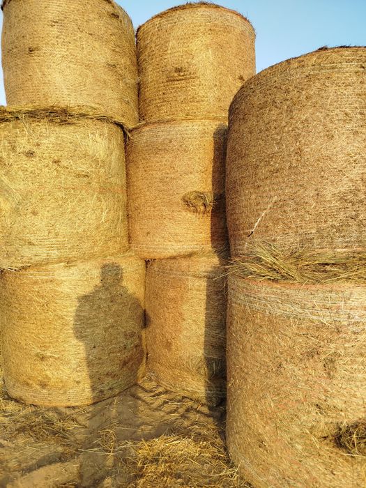 Siano bele 130    sianokiszonka