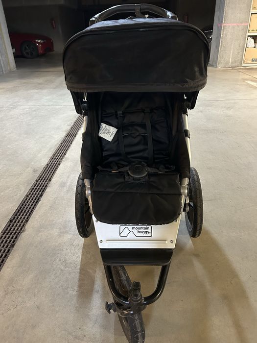 Mountain Buggy Terrain