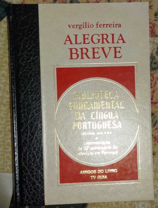Brief Joy, Vergílio Ferreira