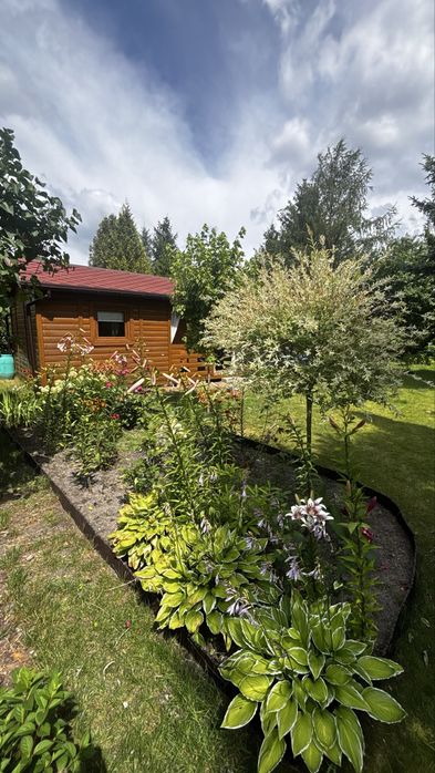 Sprzedam prawa do działki ROD Millennium Łódź – 300 m², domek, taras, basen - Widok 2