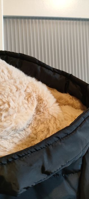 Casaco acolchoado de penas marca Springfield