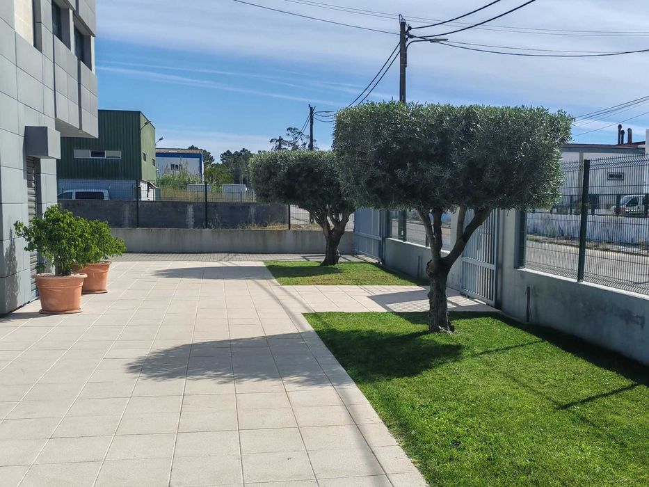 Jardineira Grande Lisboa – Manutenção, Organização de Quintais e Construção de Pequenos Jardins.