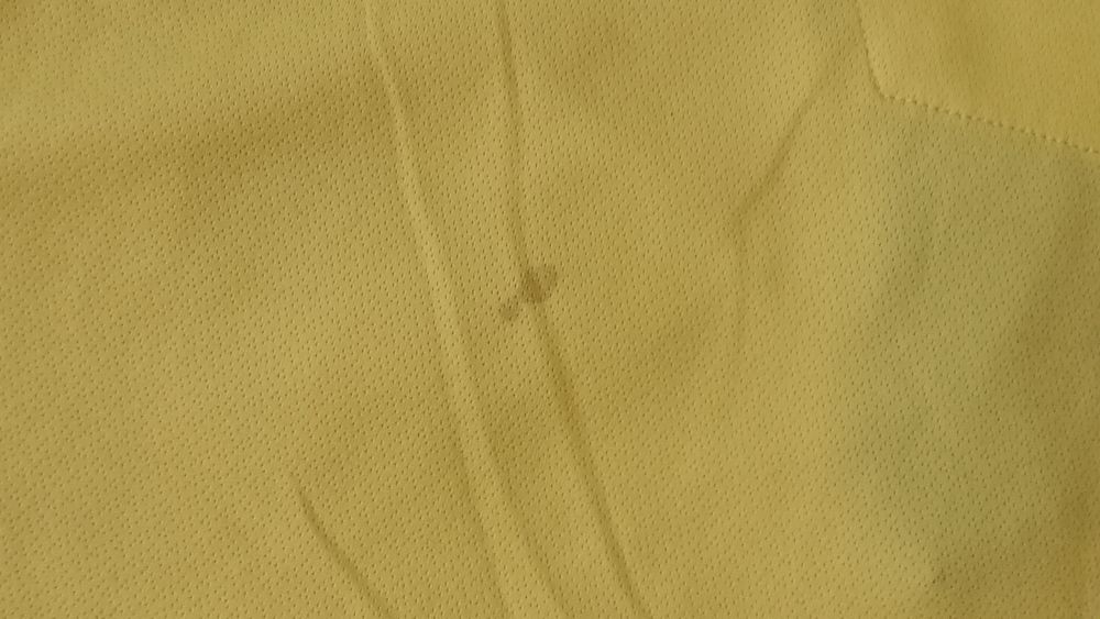 Norwich City 2016-17