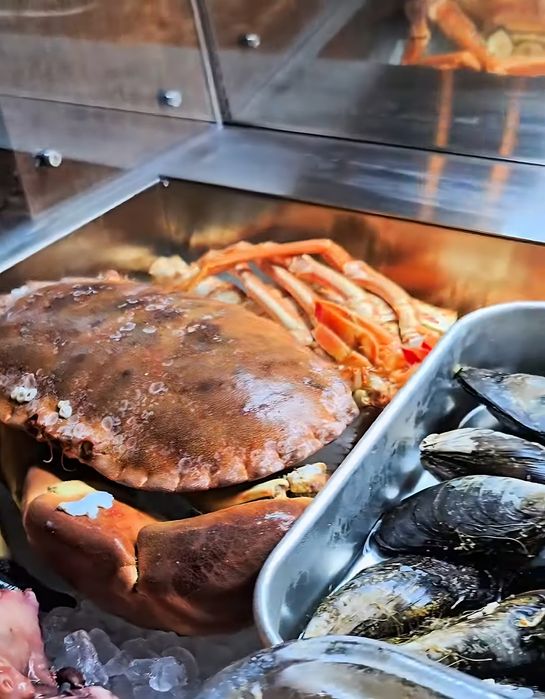 Vitrine de marisco/peixes com fabricação de gelo automática  c/ garantia  , 8 meses de uso ,