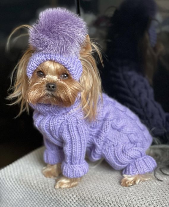 Вязаный комбинезон для собак