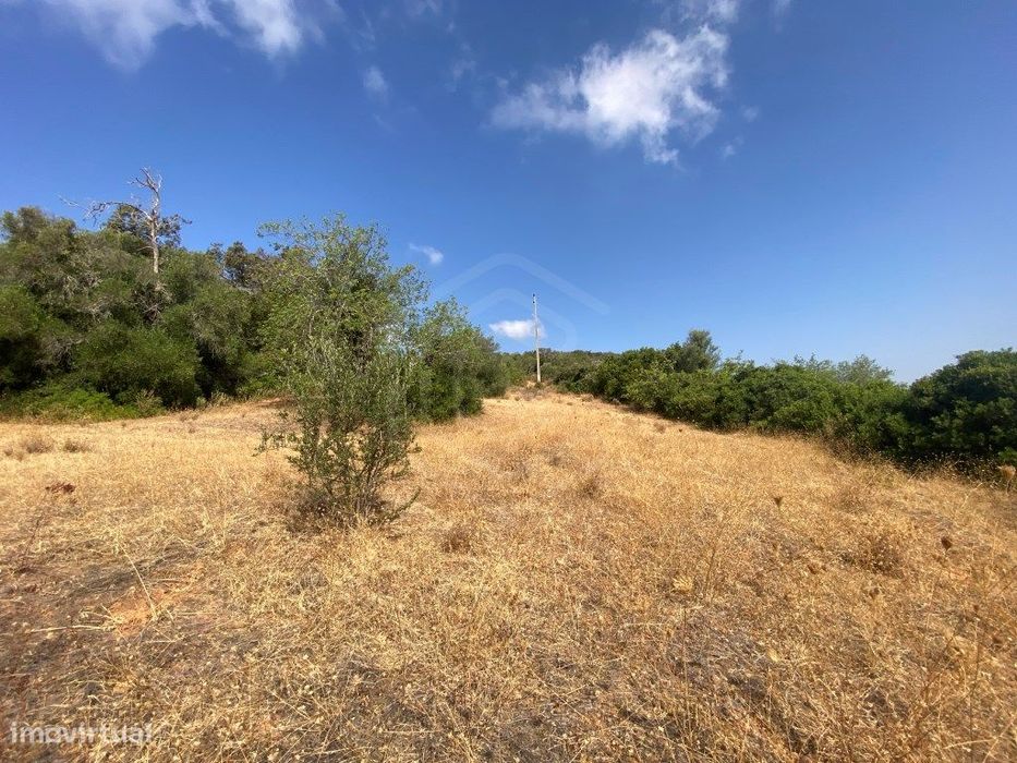 Lote de Terreno Rústico no Serro dos Passarinhos, Loulé, Algarve