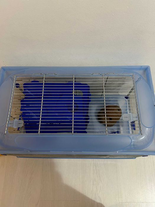 Gaiola para roedores 56x32x38