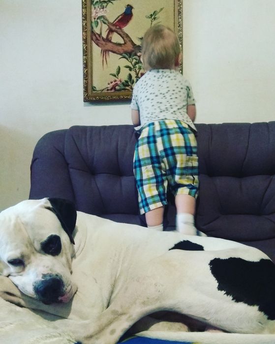 Ищет даму сердца