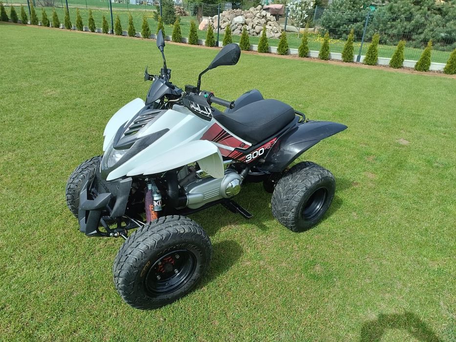 Quad Dinli Dl 801-300 2013