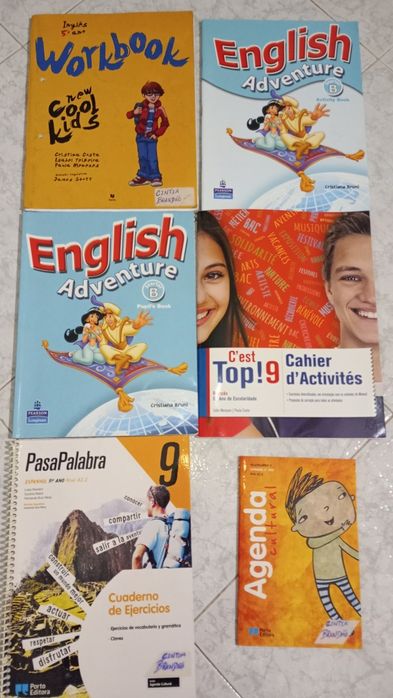 Livros / manuais / cadernos de atividades / exercícios escolares