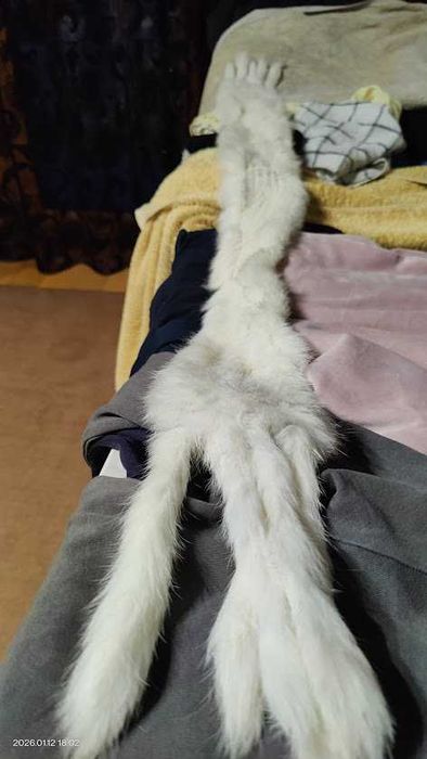 Estola de pele de coelho branco, Luvas e gravatas de senhora