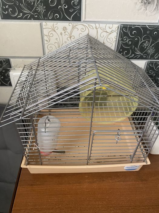 Клітка      для.         хомʼяка