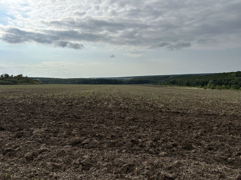 Земельна ділянка 52,4764