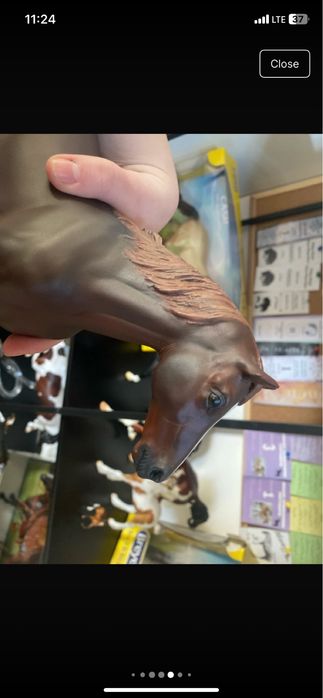 Breyer Custom Cinamoon