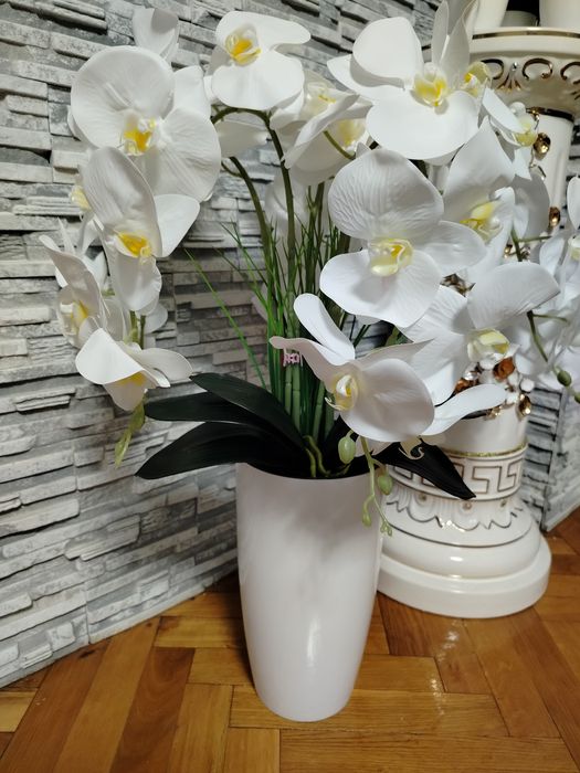 Латексна орхідея