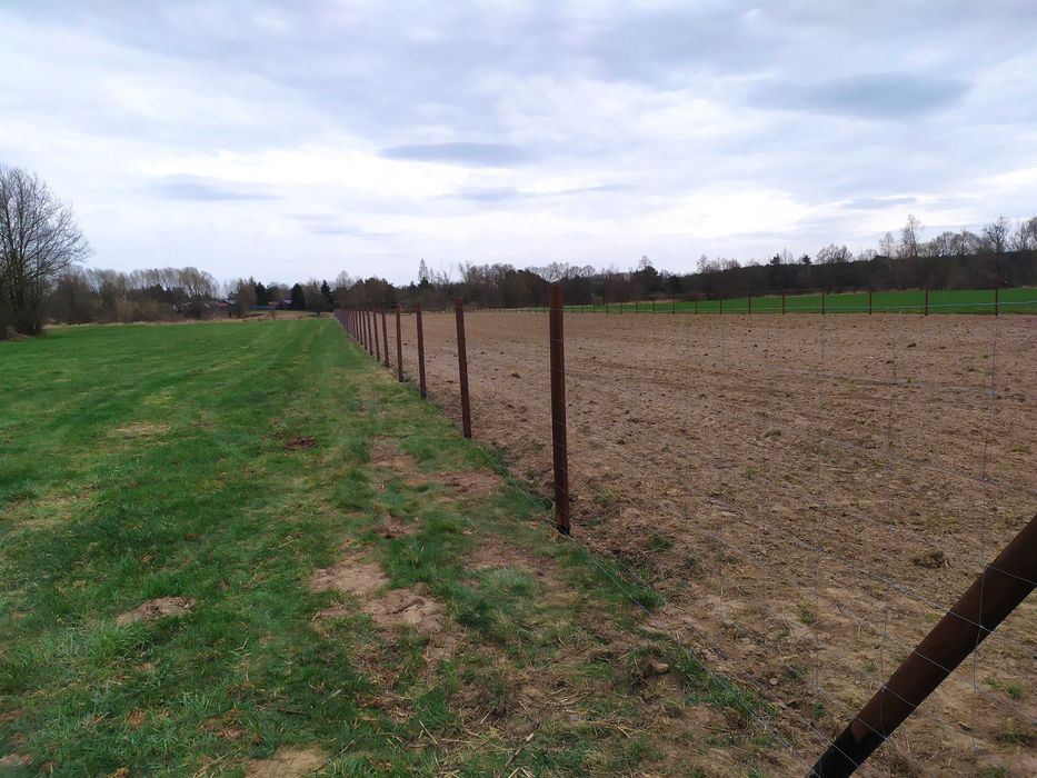 Ogrodzenia z siatki leśnej ! 14zł/mb ! Tymczasowe, Budowlane PHU MATT