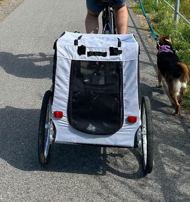 Przyczepka rowerowa dla psa
