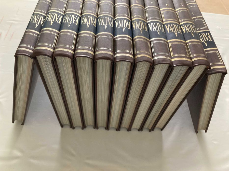 Enciclopédia A Fauna da Salvat - 11 Volumes