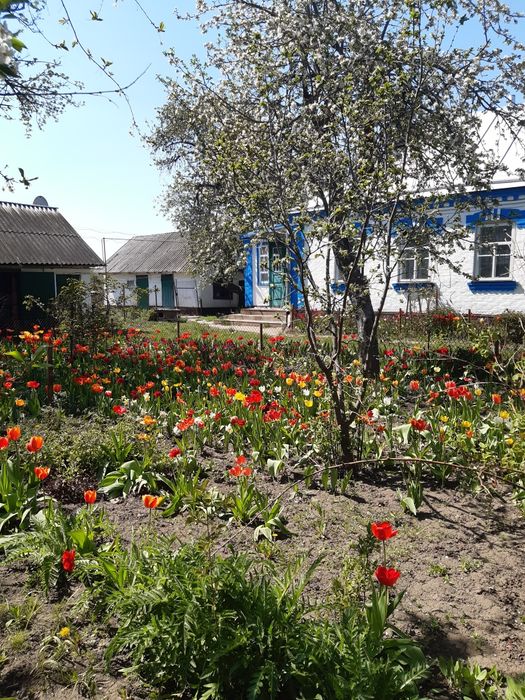 Продо будинок газифікований.