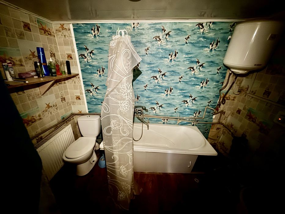 РОЗМТРОЧКА, с. Червона Камянка, 25 км від Олександрія, газове опалення