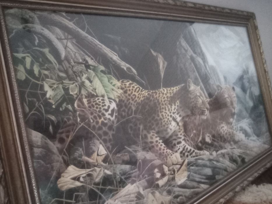 Duży obraz "Leopard Sentry" Craig Bone