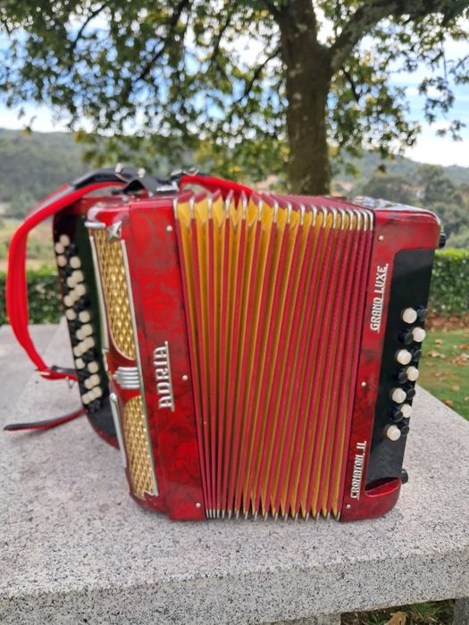 Concertina Adria sol do fa