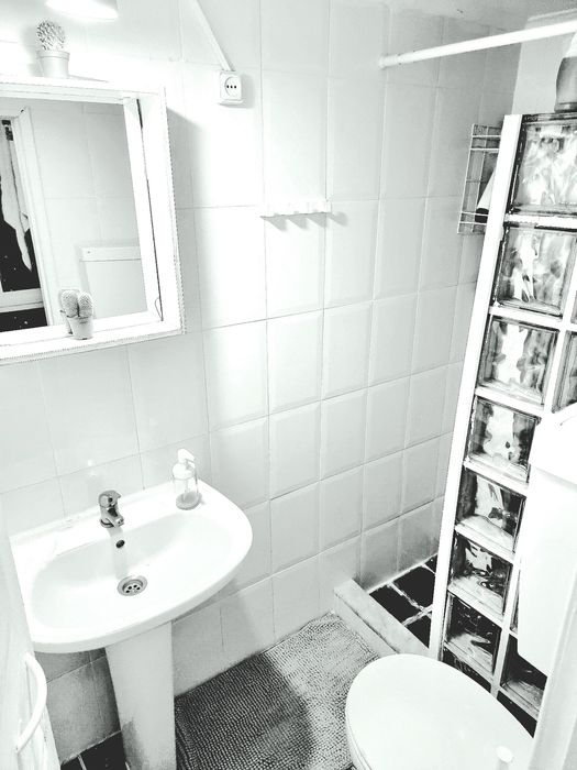 Rensesflorencio neto