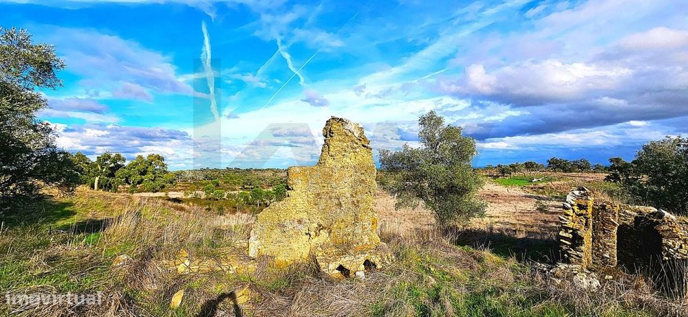 Refúgio em Grândola: 4,5 Hectares com Viabilidade, Nascente e Proximid