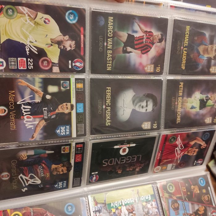 Album kart kolekcjonerskich FIFA 365 Panini