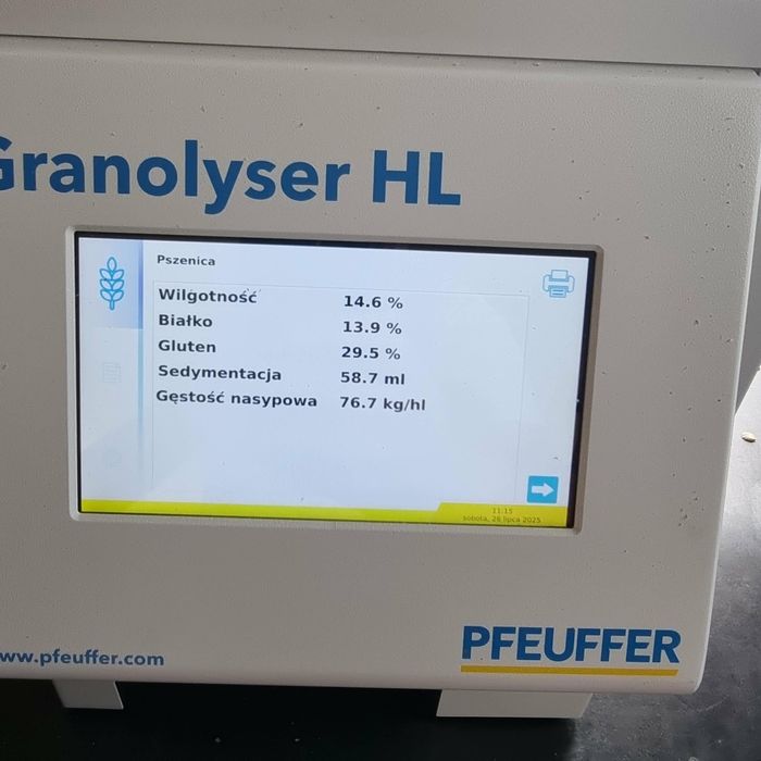 Pszenica ozima około 6t